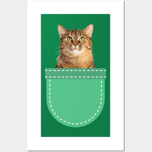 Grey Tabby Cat in Pocket Posters and Art